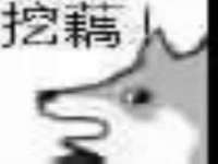 保定安双商贸有限公司