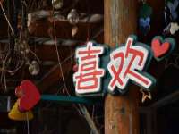 保定安双商贸有限公司