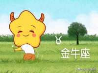 保定安双商贸有限公司