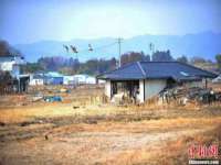 保定安双商贸有限公司