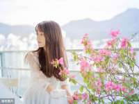 保定安双商贸有限公司