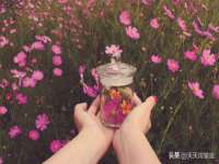 保定安双商贸有限公司