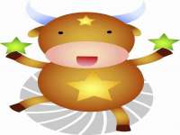 保定安双商贸有限公司