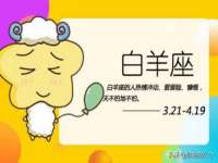 保定安双商贸有限公司