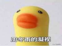 保定安双商贸有限公司