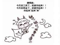 保定安双商贸有限公司