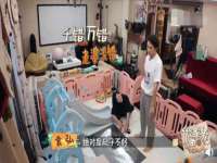 保定安双商贸有限公司