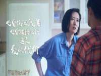保定安双商贸有限公司
